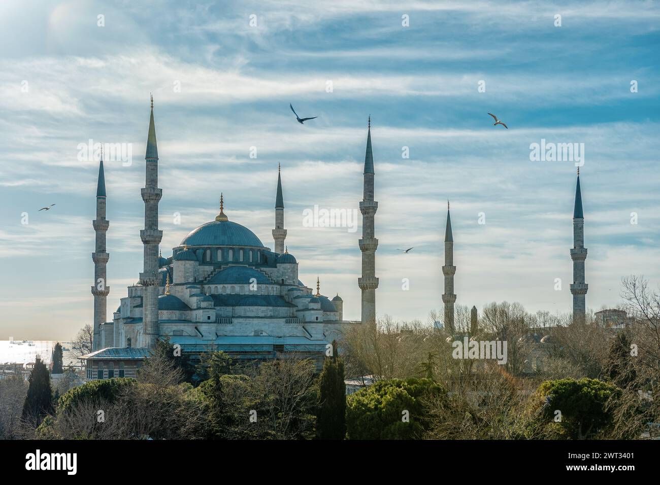 The Blue Mosque (Sultanahmet Camii) in Istanbul, Turkey Stock Photo - Alamy