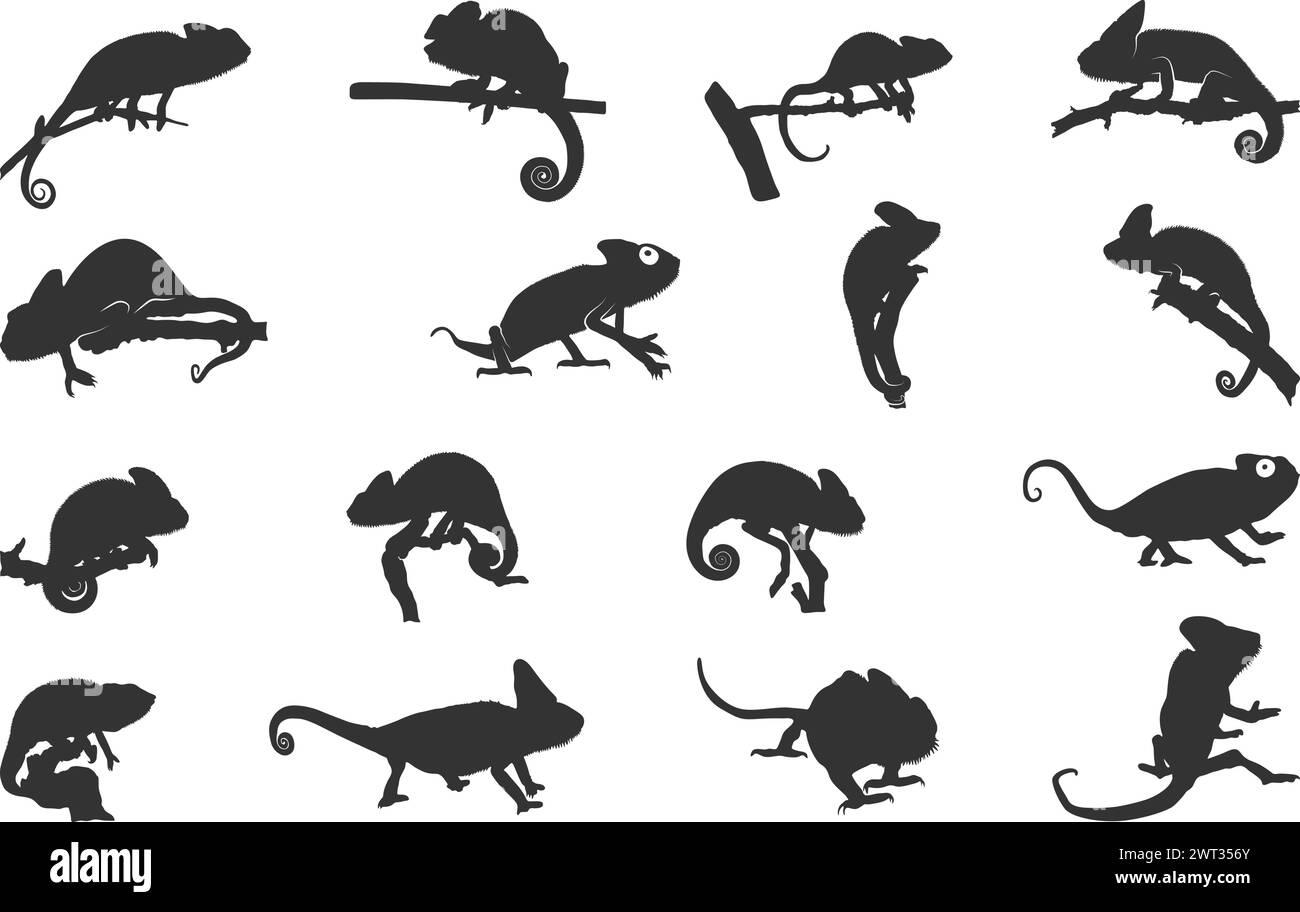 Chameleon silhouettes, Chameleon vector illustration, Chameleon svg, Chameleon animal icon ...
