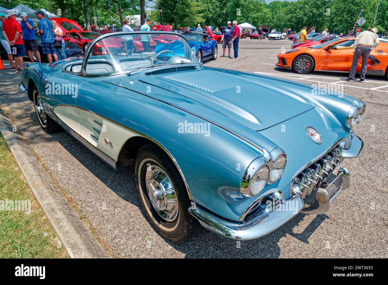 A late 1950s or early 1960 model convertible corvette a center piece of a corvette car show gathering outdoors on a sunny day in early summertime Stock Photo