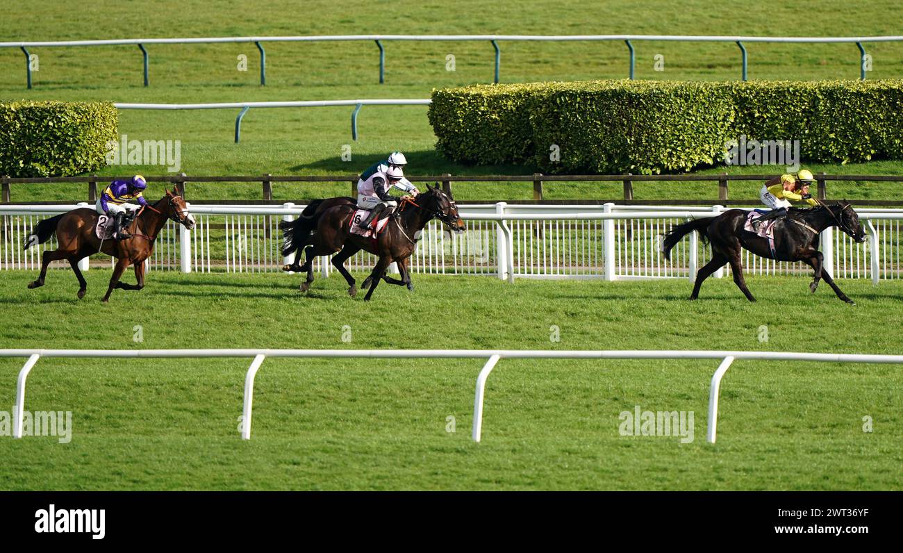 Cheltenham gold cup 2024 hires stock photography and images Alamy