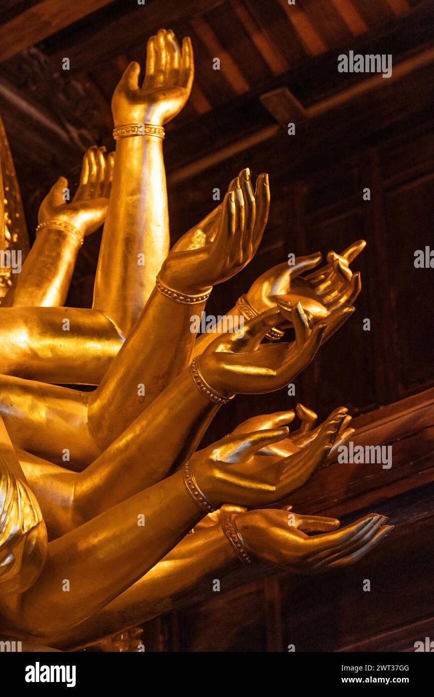 Closeup detail of the many arms and hands of the giant gold Buddha statue in the Bai Dinh Pagoda temple complex, Trang An, Ninh Binh province, norther Stock Photo