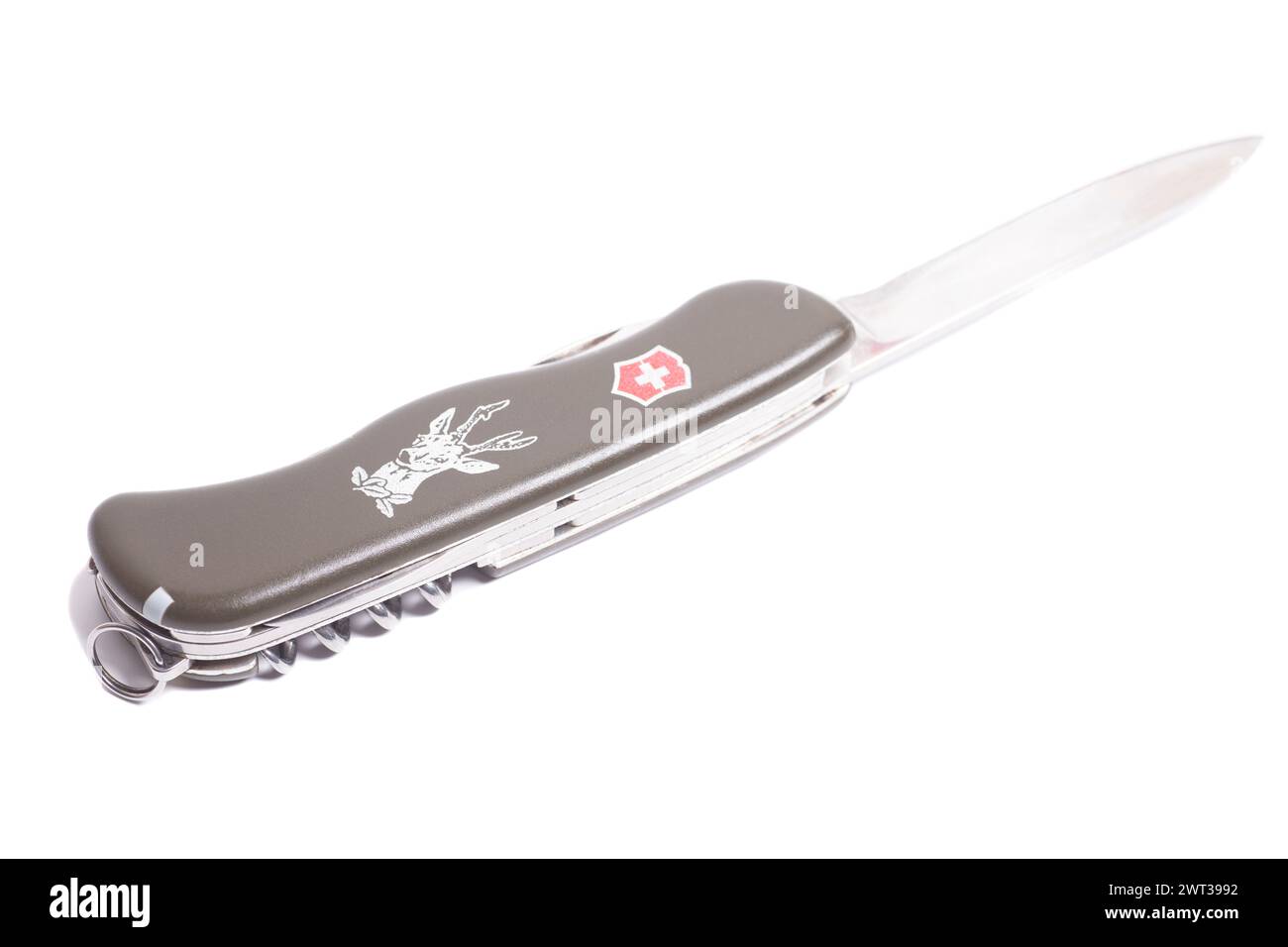 Multipurpose Swiss knife. Stock Photo