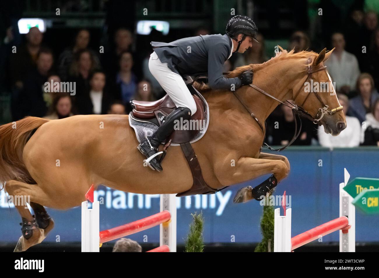 Denbosch, Netherlands - March 10, 2024. Julien Epaillard of France riding Dubai du Cedre competes in the 1.60m Rolex Grand Prix at the 2024 Rolex Dutc Stock Photo