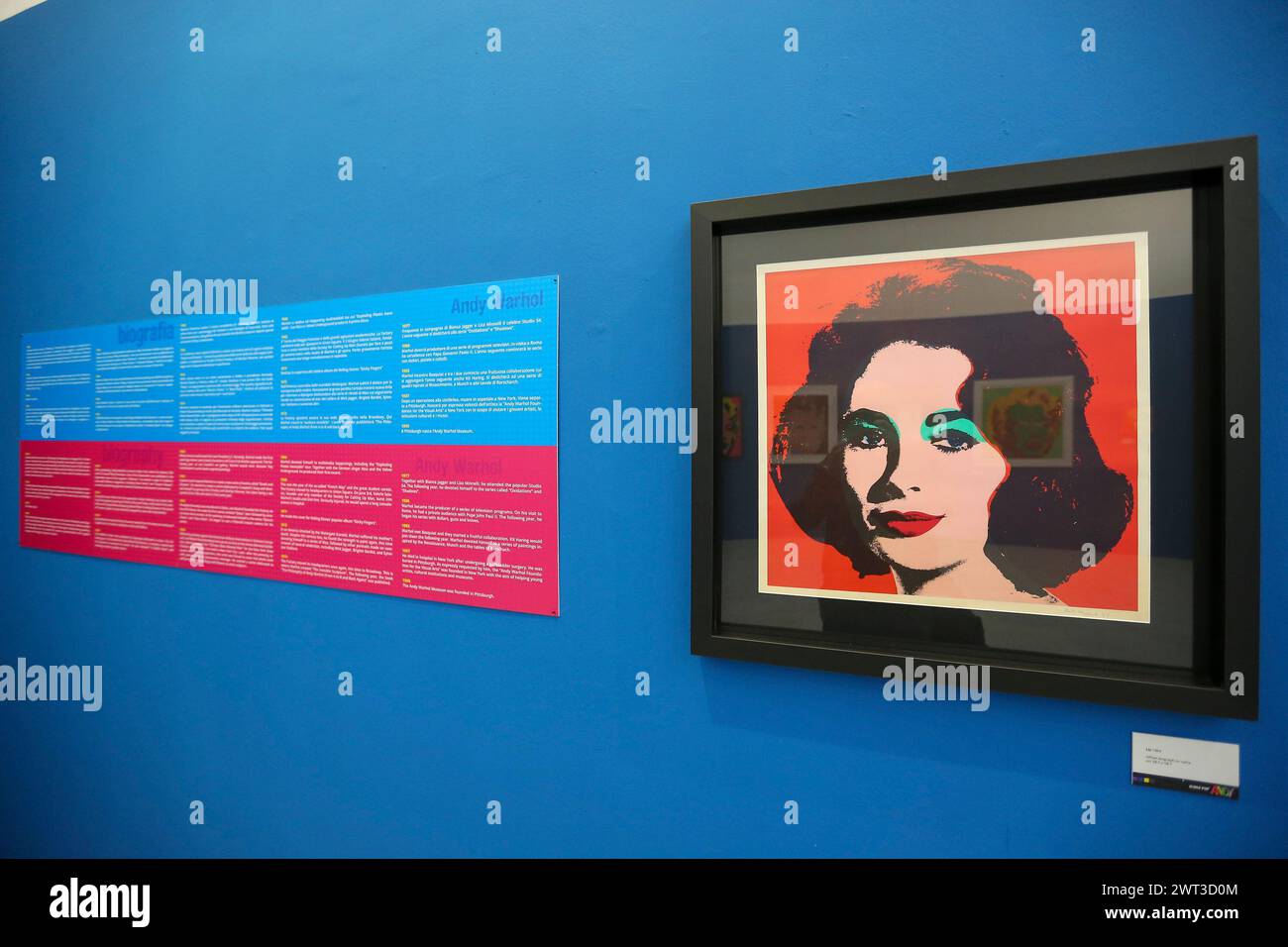 The portrait of Liz Taylor in the exhibition dedicated to Andy Warhol in Naples, entitled 'Andy is Back', during the preview for the press. Stock Photo