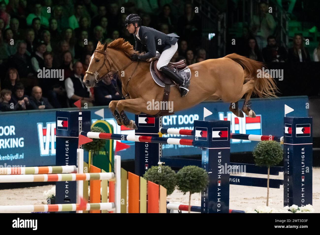 Denbosch, Netherlands - March 10, 2024. Julien Epaillard of France riding Dubai du Cedre competes in the 1.60m Rolex Grand Prix at the 2024 Rolex Dutc Stock Photo