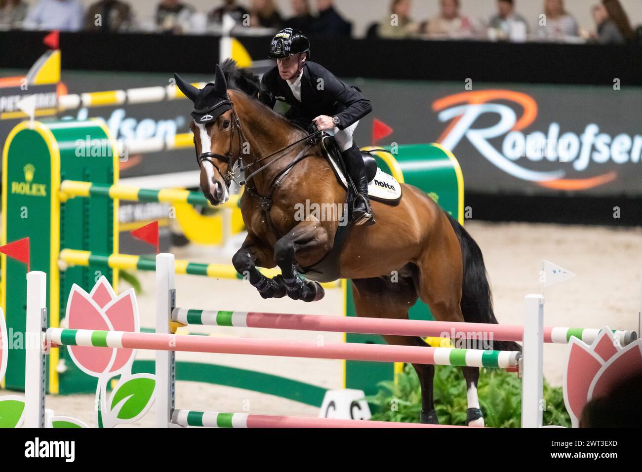 Denbosch, Netherlands - March 10, 2024. Marcus Ehning of Germany and riding Priam du Roset competes in the 1.60m Rolex Grand Prix at the 2024 Rolex Du Stock Photo