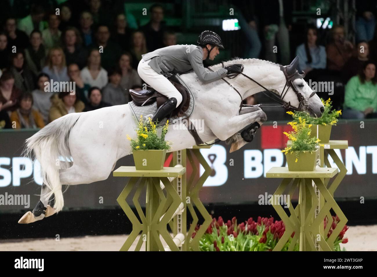 Denbosch, Netherlands - March 10, 2024. Christian Dukuk of Germany riding Mumbai competes in the 1.60m Rolex Grand Prix at the 2024 Rolex Dutch Master Stock Photo
