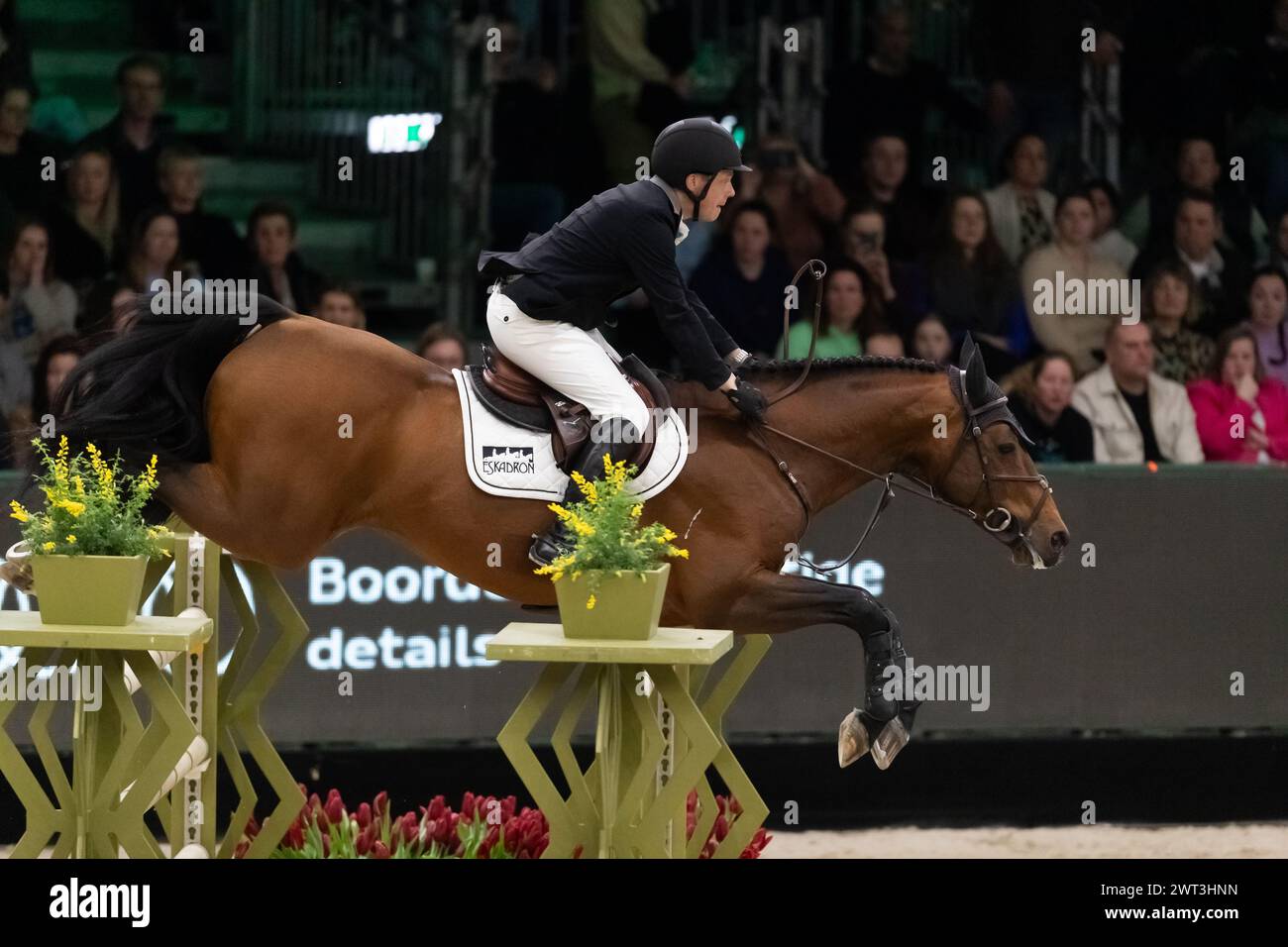 Denbosch, Netherlands - March 10, 2024. Willem Greve of the Netherlands riding Highway TN N.O.P. competes in the 1.60m Rolex Grand Prix at the 2024 Ro Stock Photo