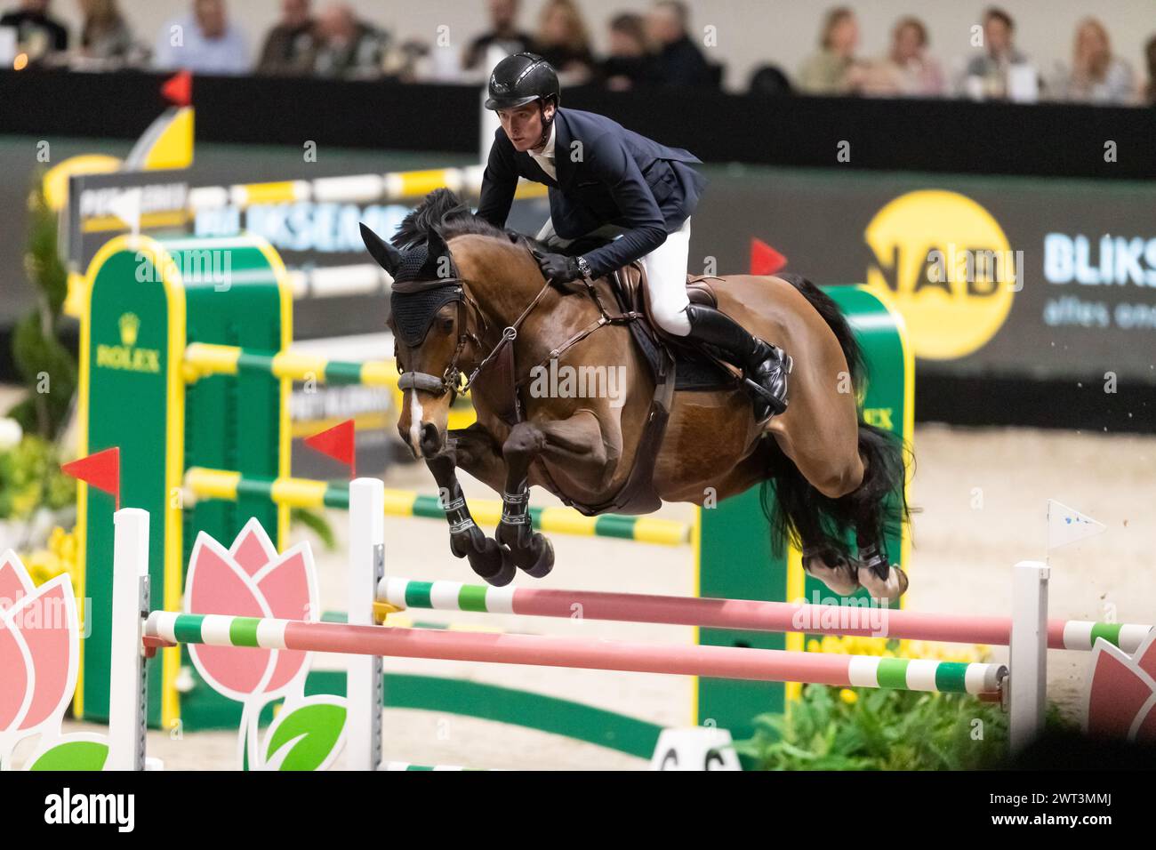 Denbosch, Netherlands - March 10, 2024. Pieter Clemens of Belgium and riding Emmerton competes in the 1.60m Rolex Grand Prix at the 2024 Rolex Dutch M Stock Photo