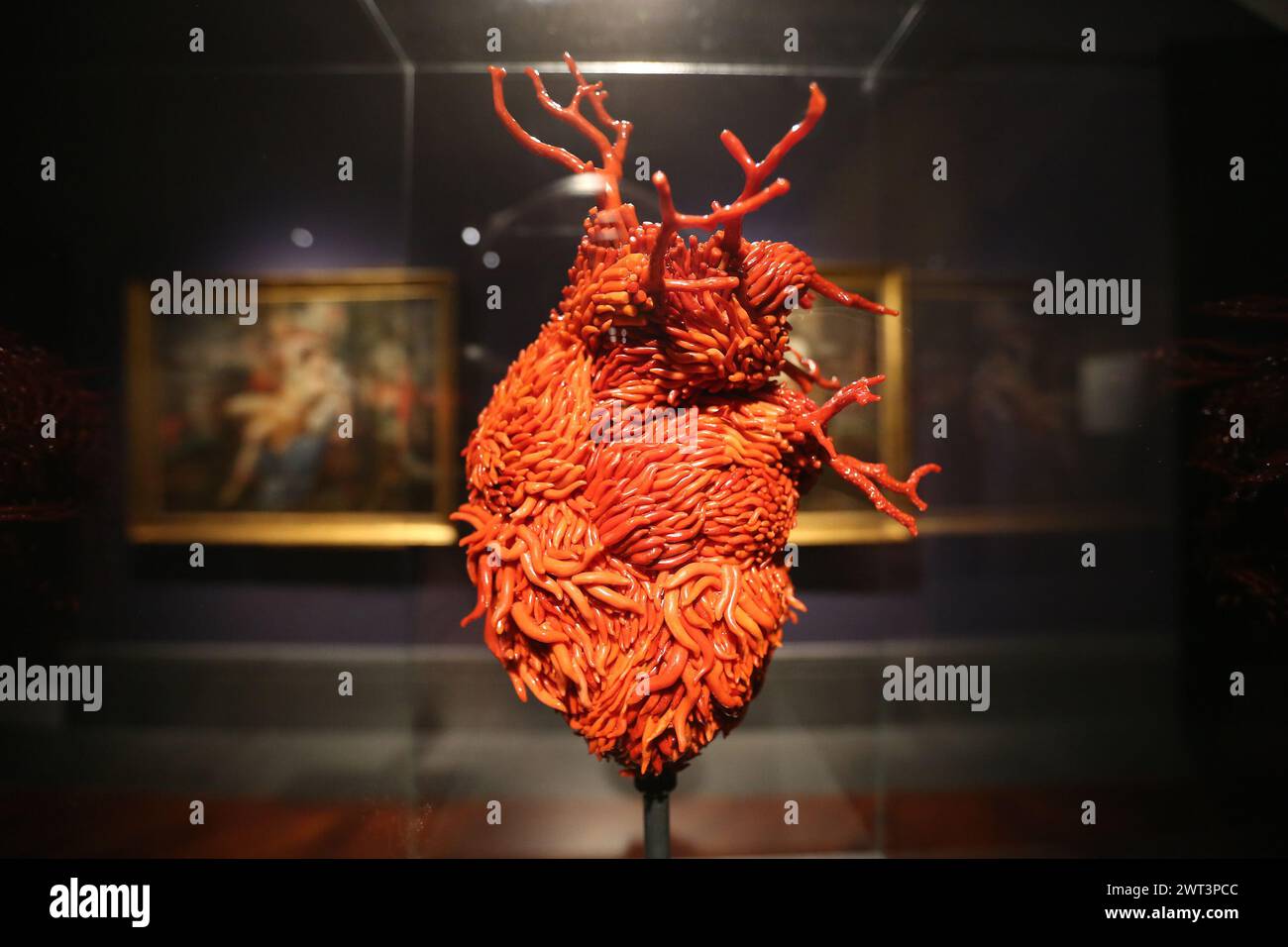 A coral heart, by the artist Jan Fabre, in the 'Red Gold' exhibition, in the Capodimonte museum in Naples. Stock Photo