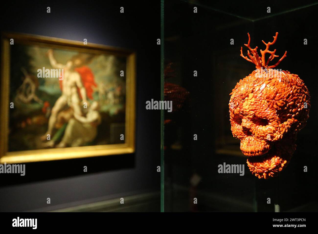 A coral skull, by the artist Jan Fabre, in the 'Red Gold' exhibition, in the Capodimonte museum in Naples. Stock Photo