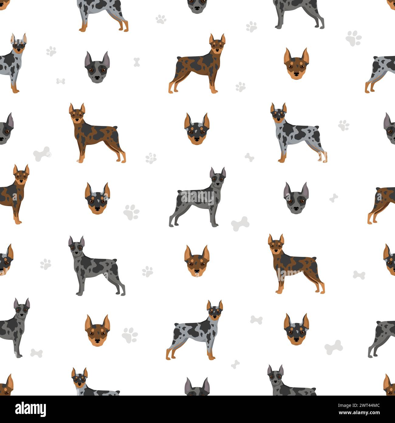 Harlequin pinscher seamless pattern. Different poses, coat colors set.  Vector illustration Stock Vector
