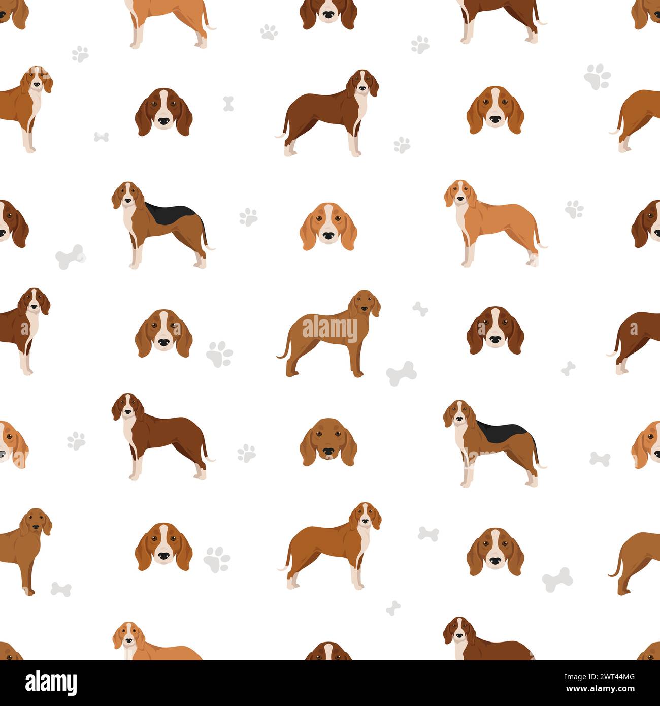 Hygen hound pattern. Different poses, coat colors set.  Vector illustration Stock Vector