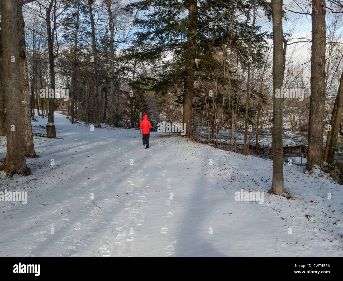 Woman running in park in Winter beside West River, Riviere del’Ouest, Brownsburg-Chatham, Quebec, Canada, Stock Photo