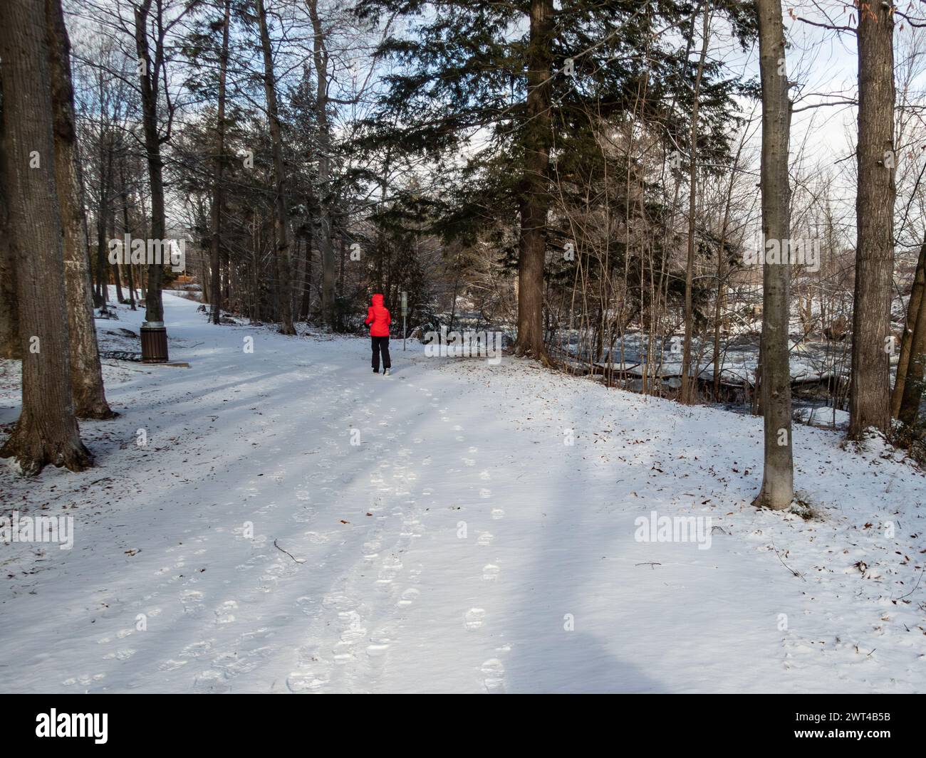 Woman running in park in Winter beside West River, Riviere del’Ouest, Brownsburg-Chatham, Quebec, Canada, Stock Photo