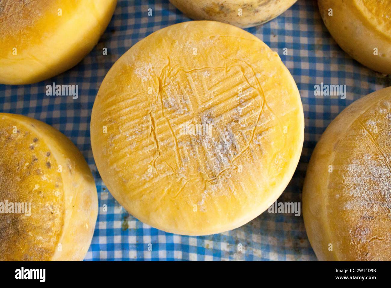 Detalle de quesos en Gran Canaria, España Stock Photo