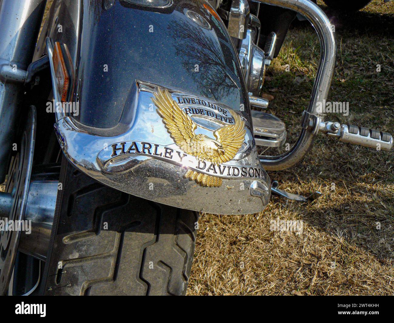 detail of the fender of a Harley Davidson motorcycle Stock Photo