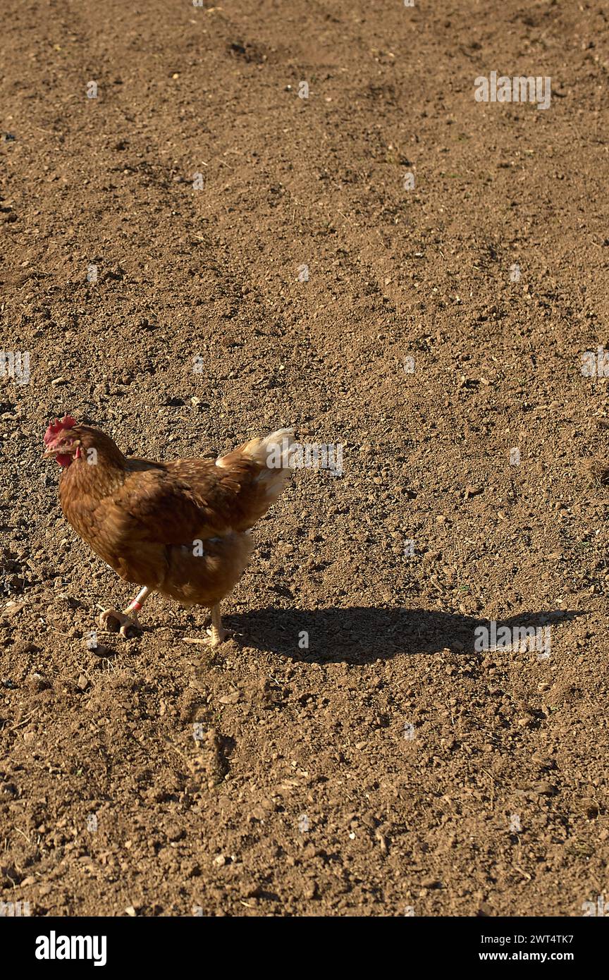 Seeghtseeing hi-res stock photography and images - Alamy