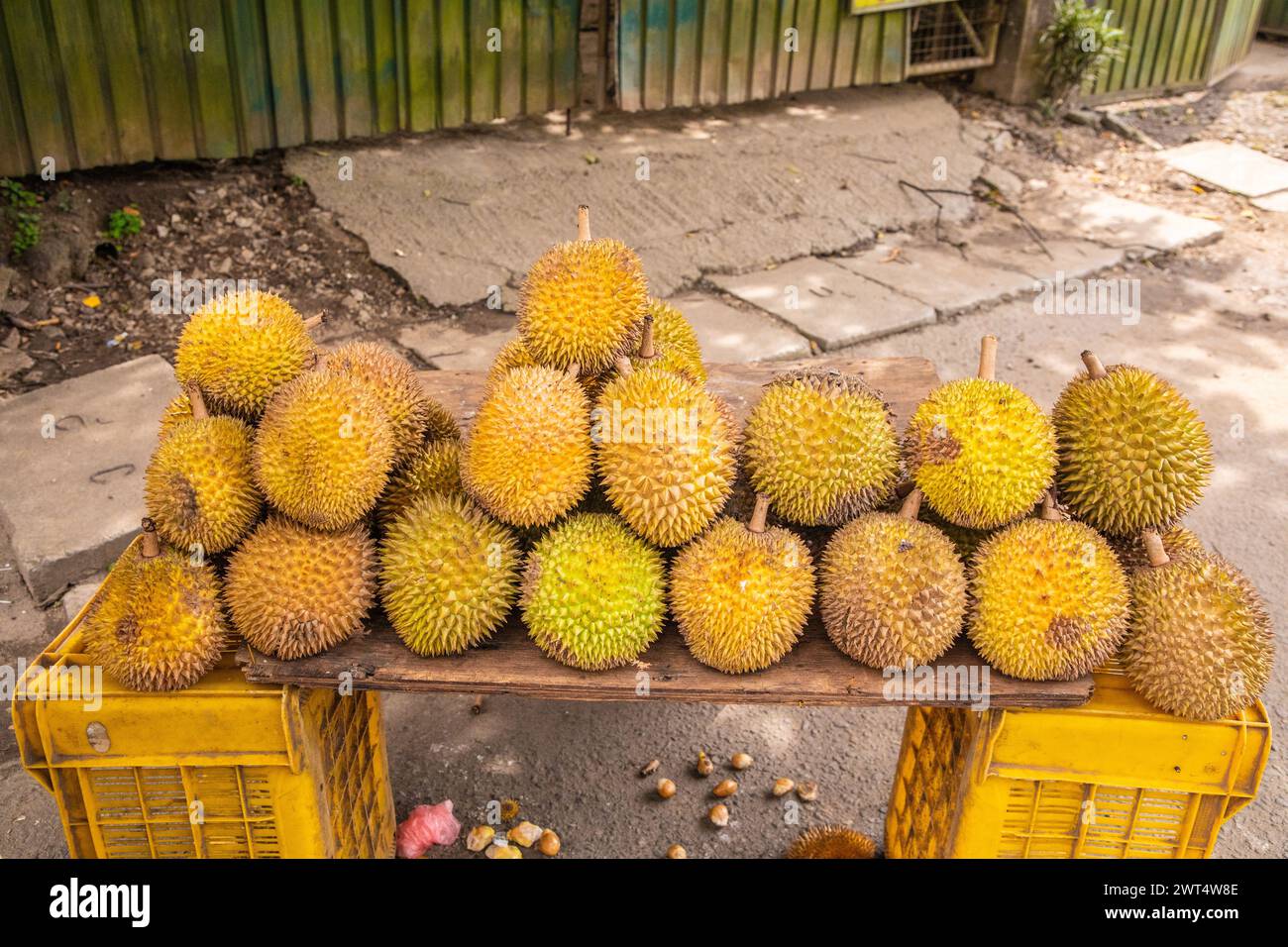 round ripe yellow durian fruits folded in pile on wooden counter for sale. Traditional fruit of Sri Lanka Stock Photo
