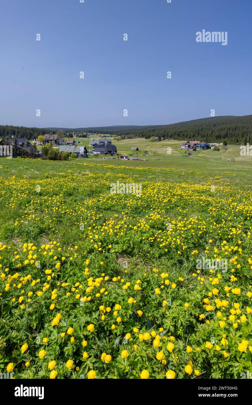 Spring landscape with Jizerka near Korenov, Northern Bohemia, Czech Republic Stock Photo