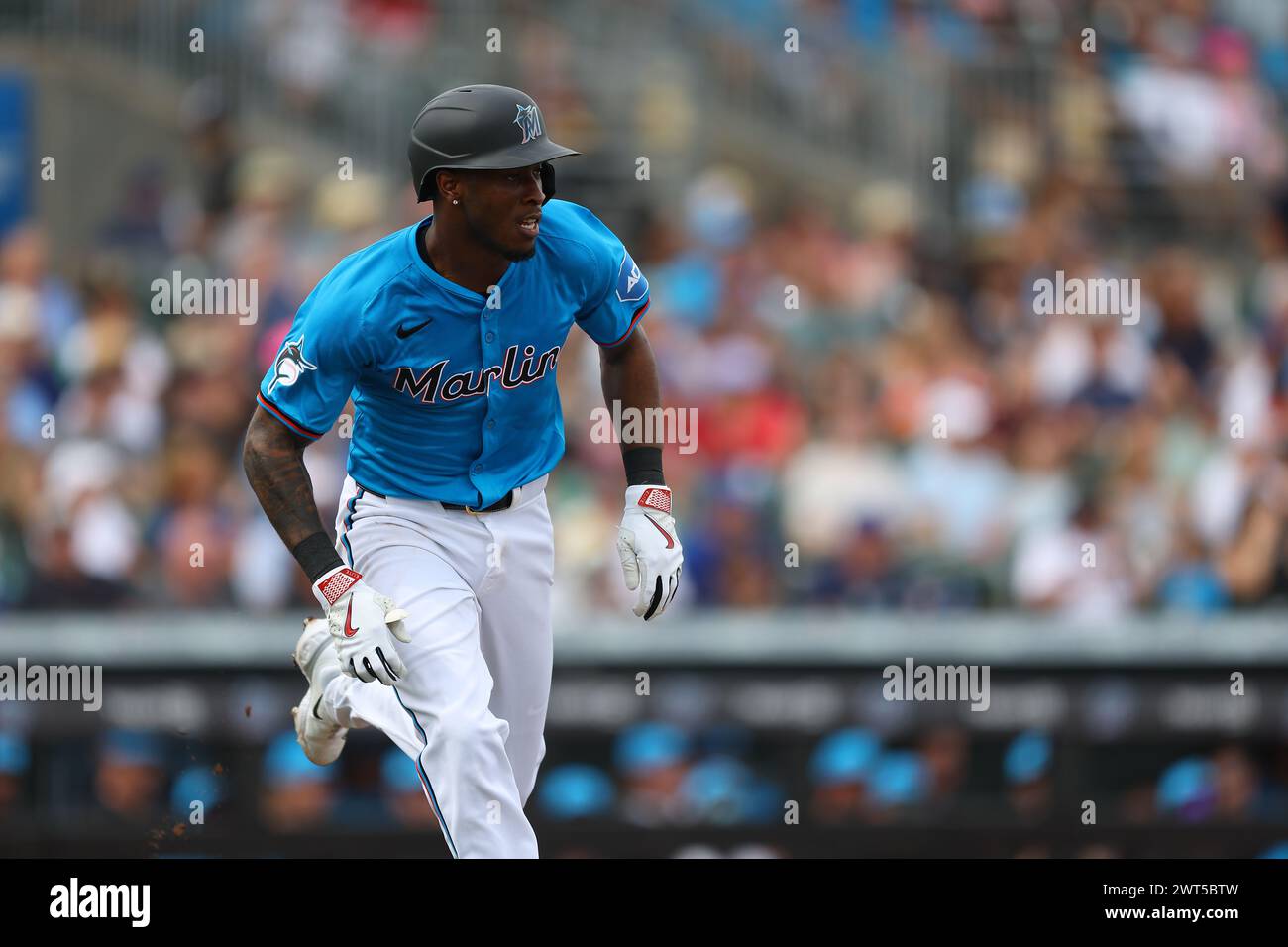 Grapefruit league spring training baseball game hires stock