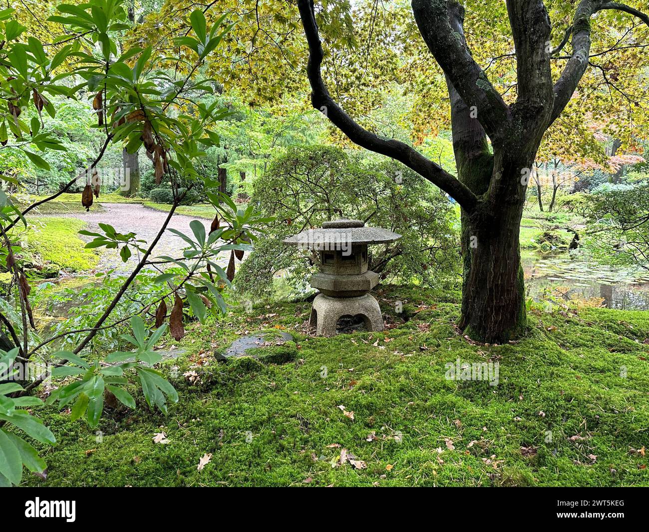 Different plants, stone lantern and little pond in Japanese garden Stock Photo