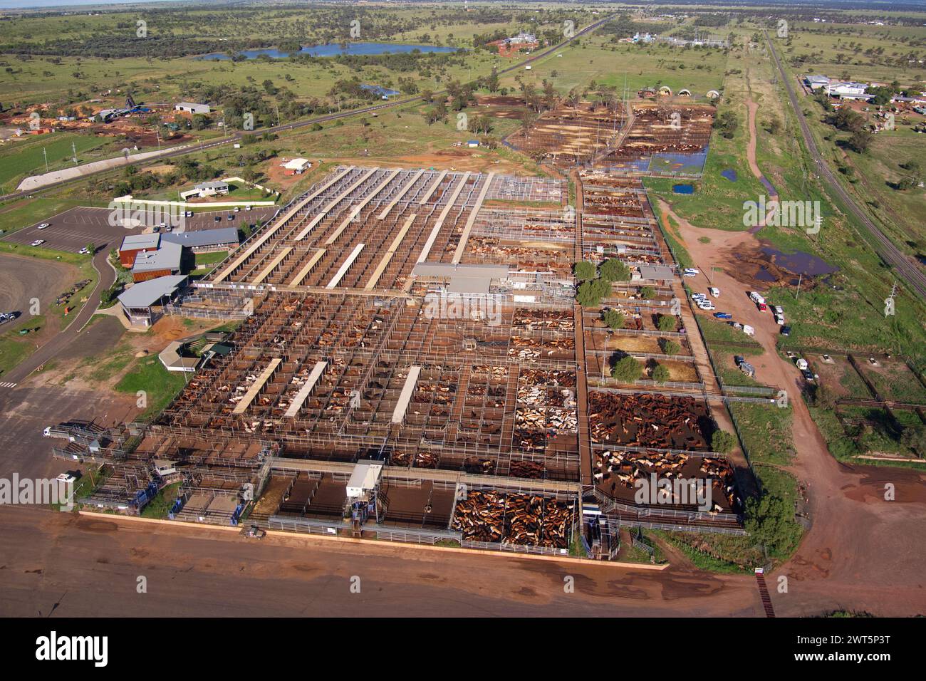 Aerial of The Roma Saleyards Australia’s largest cattle selling centre