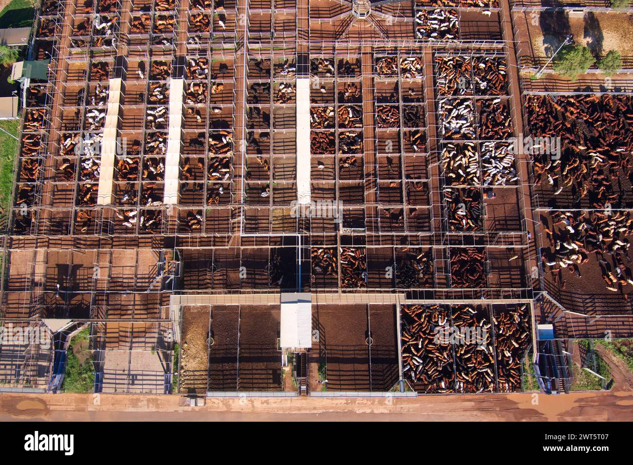 Aerial of The Roma Saleyards Australia’s largest cattle selling centre