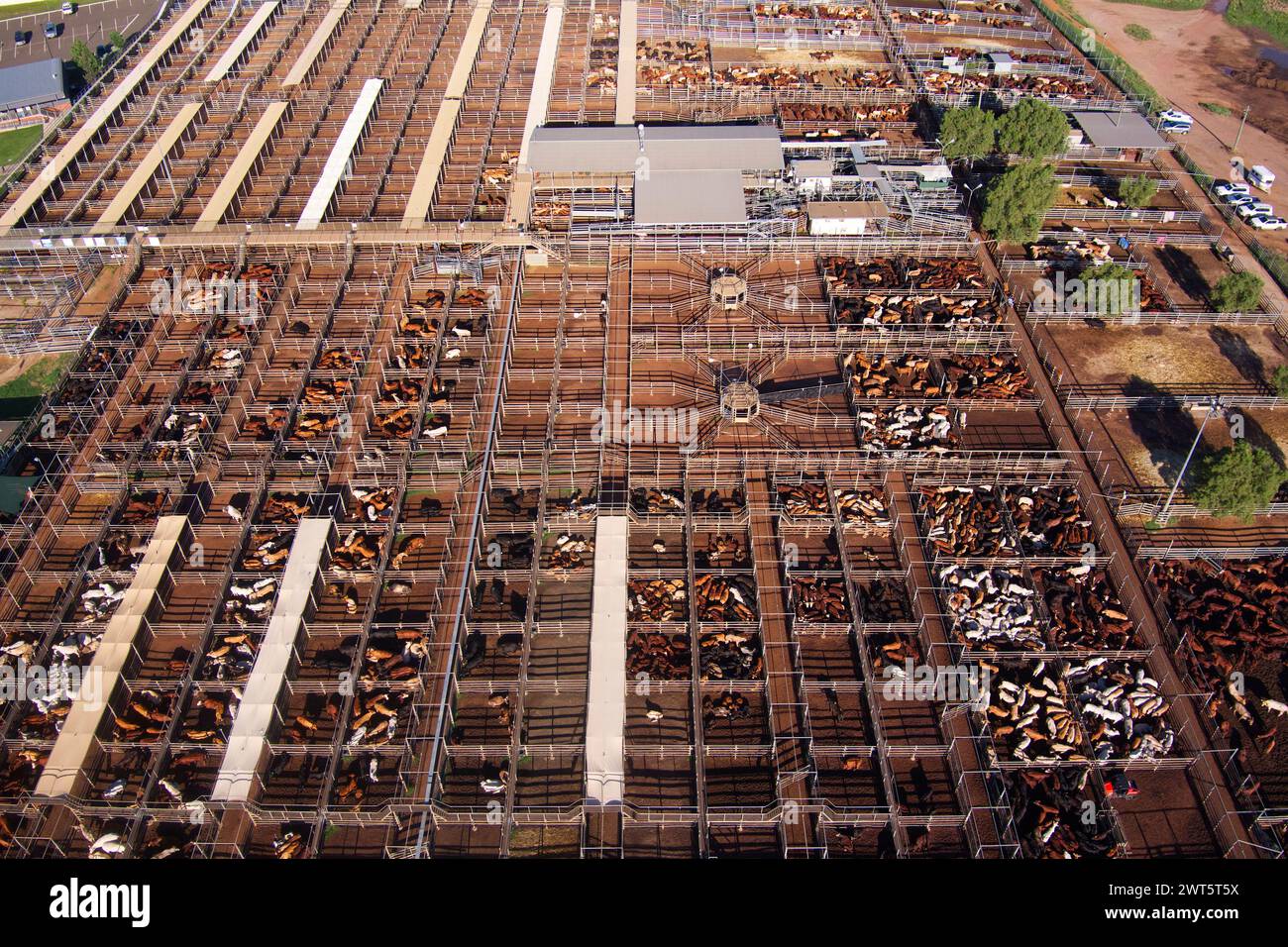 Aerial of The Roma Saleyards Australia’s largest cattle selling centre
