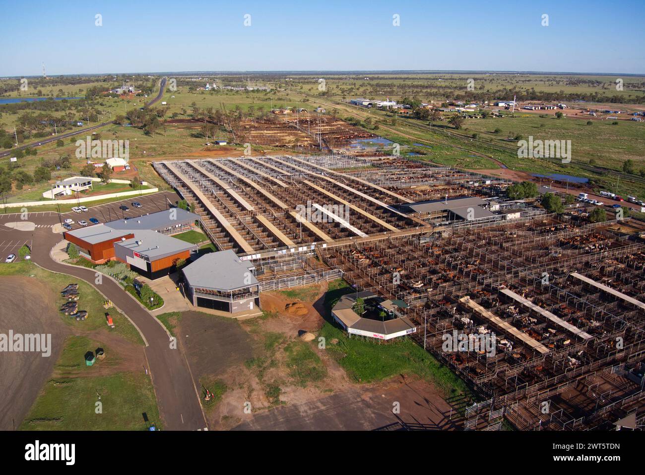 Aerial of the Roma Saleyards Australia’s largest cattle selling centre, with over 400,000 cattle passing through a year. Roma Queensland Australia Stock Photo