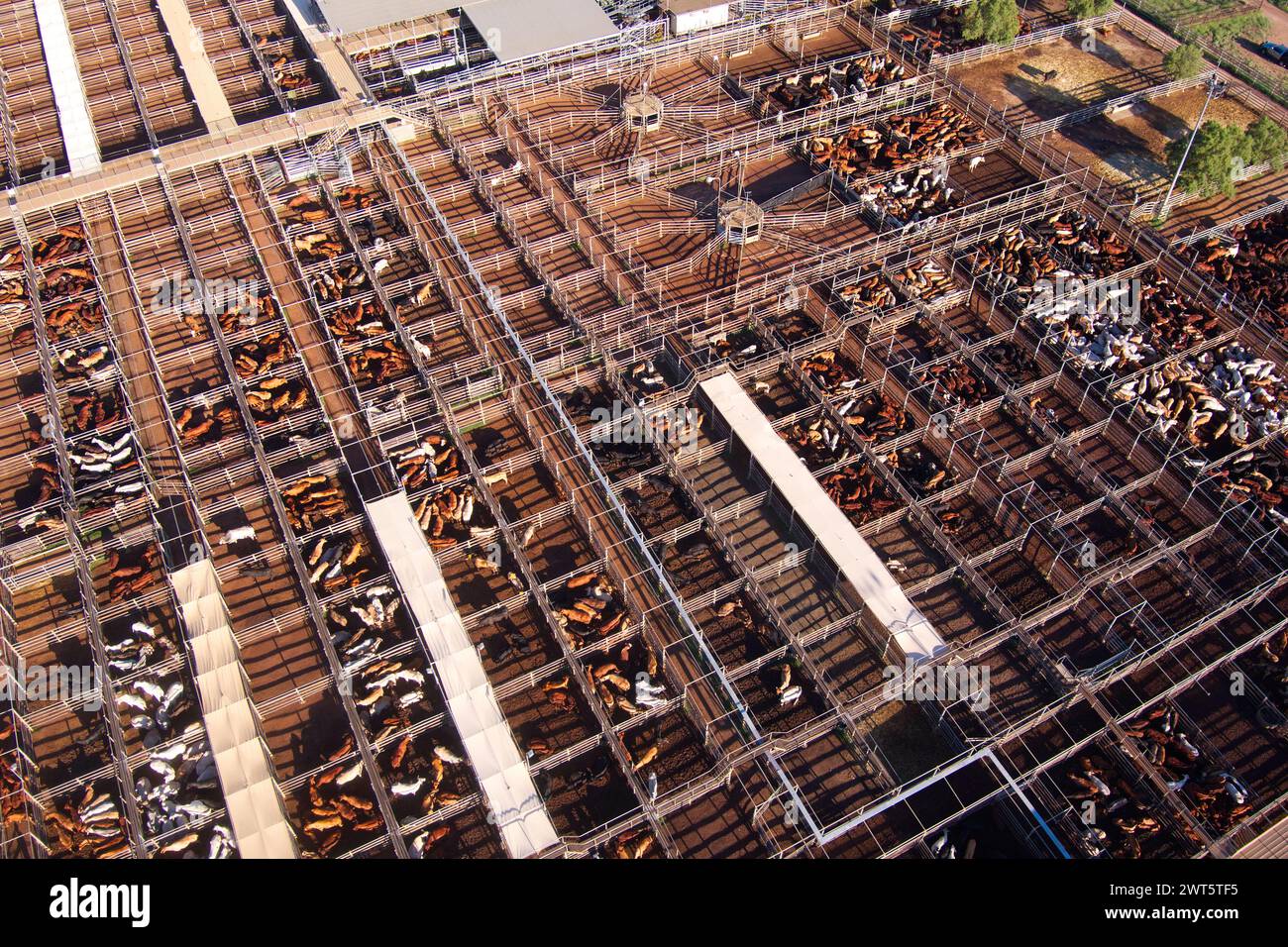 Aerial of the Roma Saleyards Australia’s largest cattle selling centre