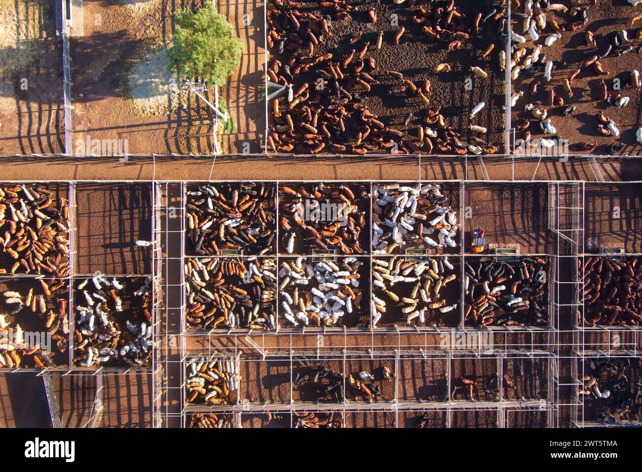 Roma Saleyards aerial of Australia’s largest cattle selling centre
