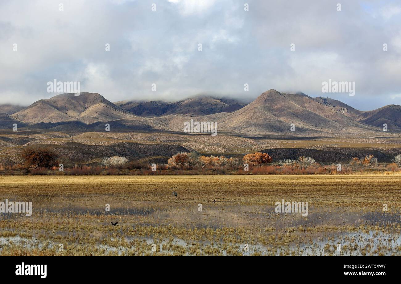 Panorama with Chupadera Mountains, New Mexico Stock Photo