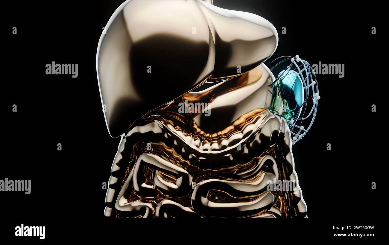 Spleen, conceptual illustration Stock Photo - Alamy