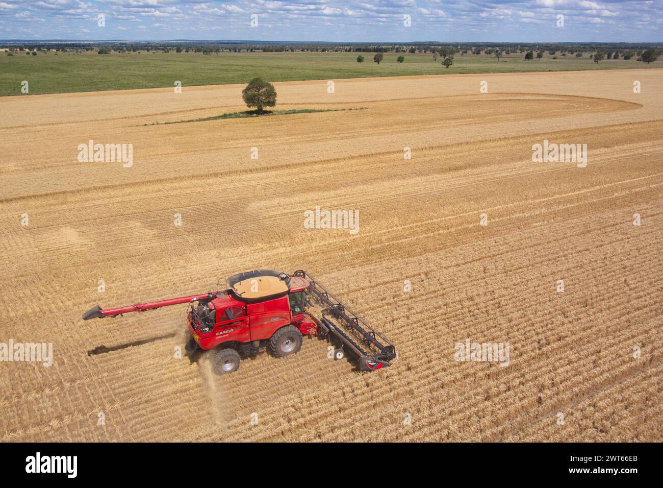 Aerial of combine harvester wheat harvesting Wallumbilla on the Maranoa Queensland Australia Stock Photo