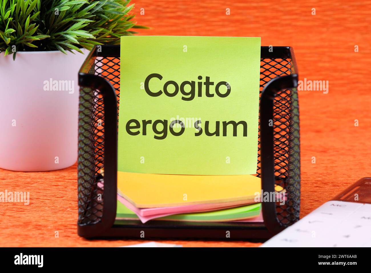 The words Cogito Ergo Sum or I think Therefore I Am on a sticker in a stand on an orange background Stock Photo