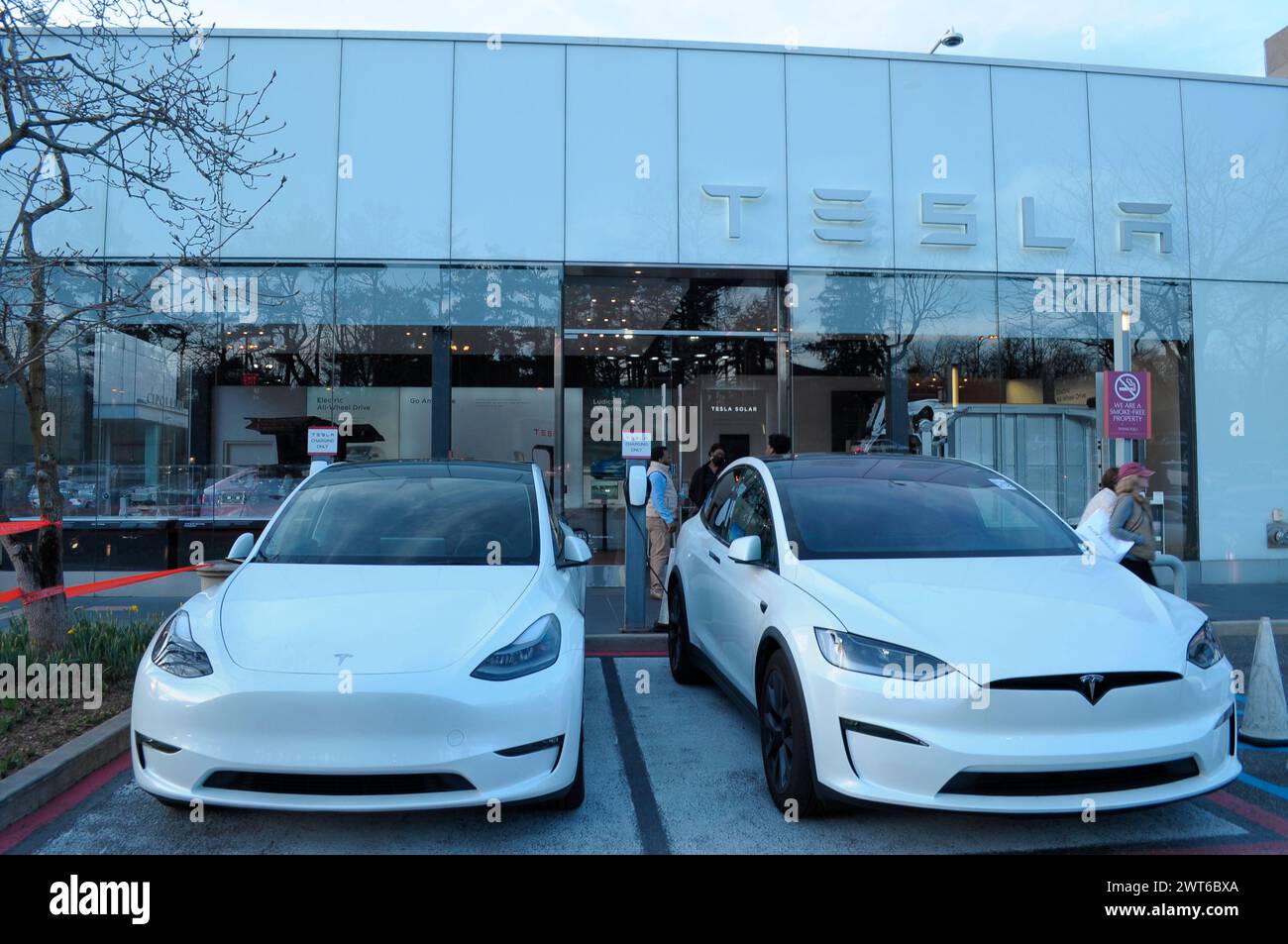 New York, United States. 15th Mar, 2024. Two Tesla vehicles are seen