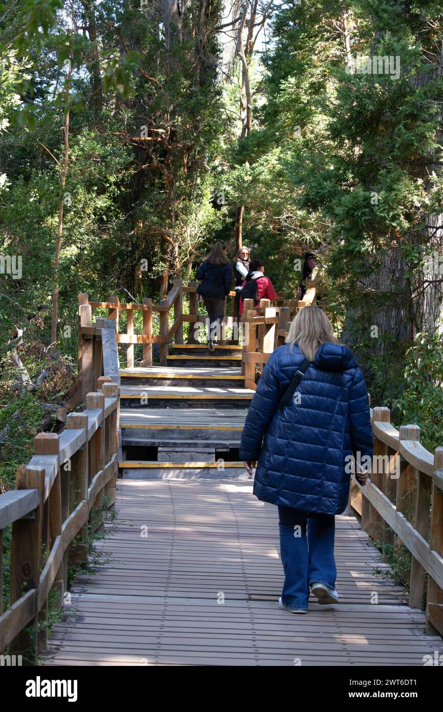 Vertical photo from behind of tourists walking through a narrow stair path surrounded by a forest full of big green trees in Bosque los Arrayanes, Arg Stock Photo