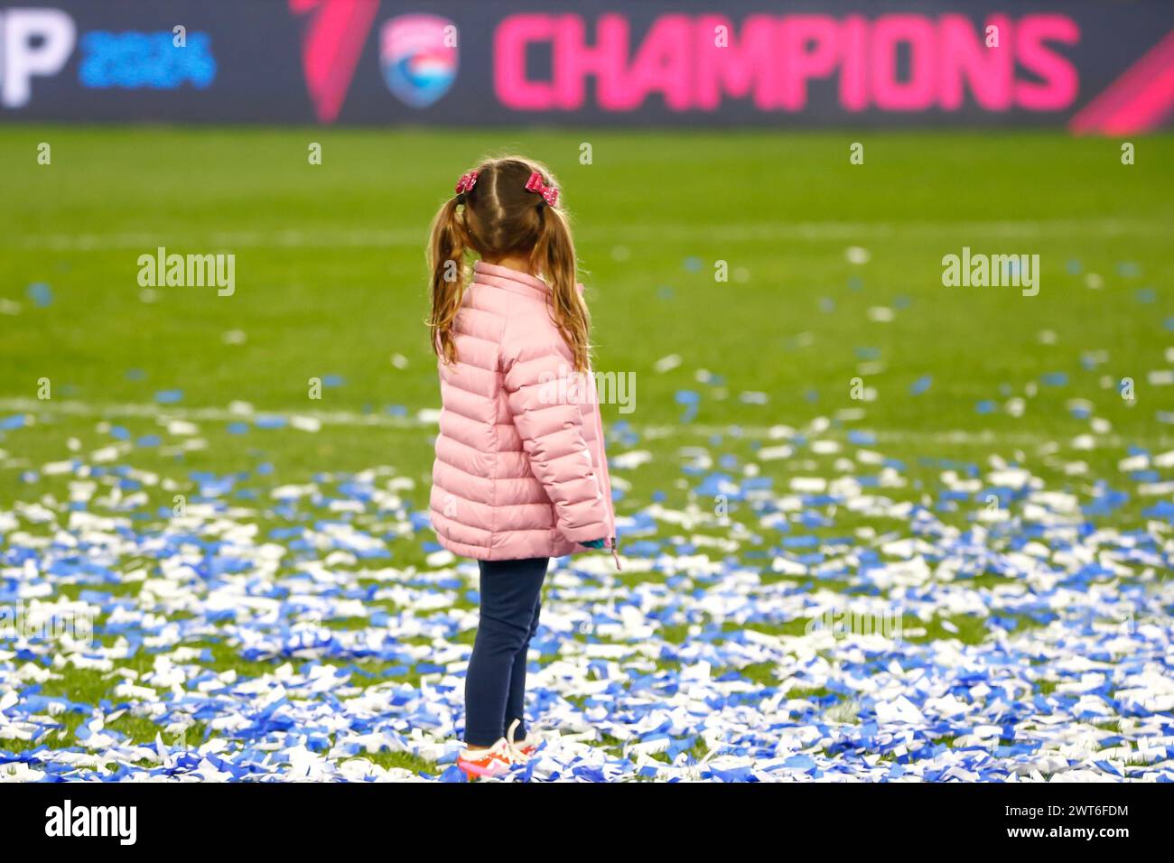 Gotham fc hires stock photography and images Alamy