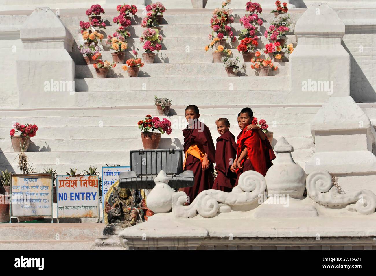 Three young monks stand on white steps next to blooming flower pots, Kathmandu Valley, Kathmandu