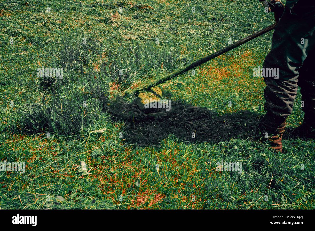 a man mows tall grass on the lawn, the lawn as a background Stock Photo ...