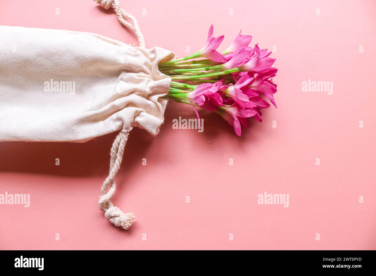 Top view photo of bouquet of pink lilies in a string bag isolated pink background with copyspace. Spring flowers on pink flat lay. Greeting card, holi Stock Photo
