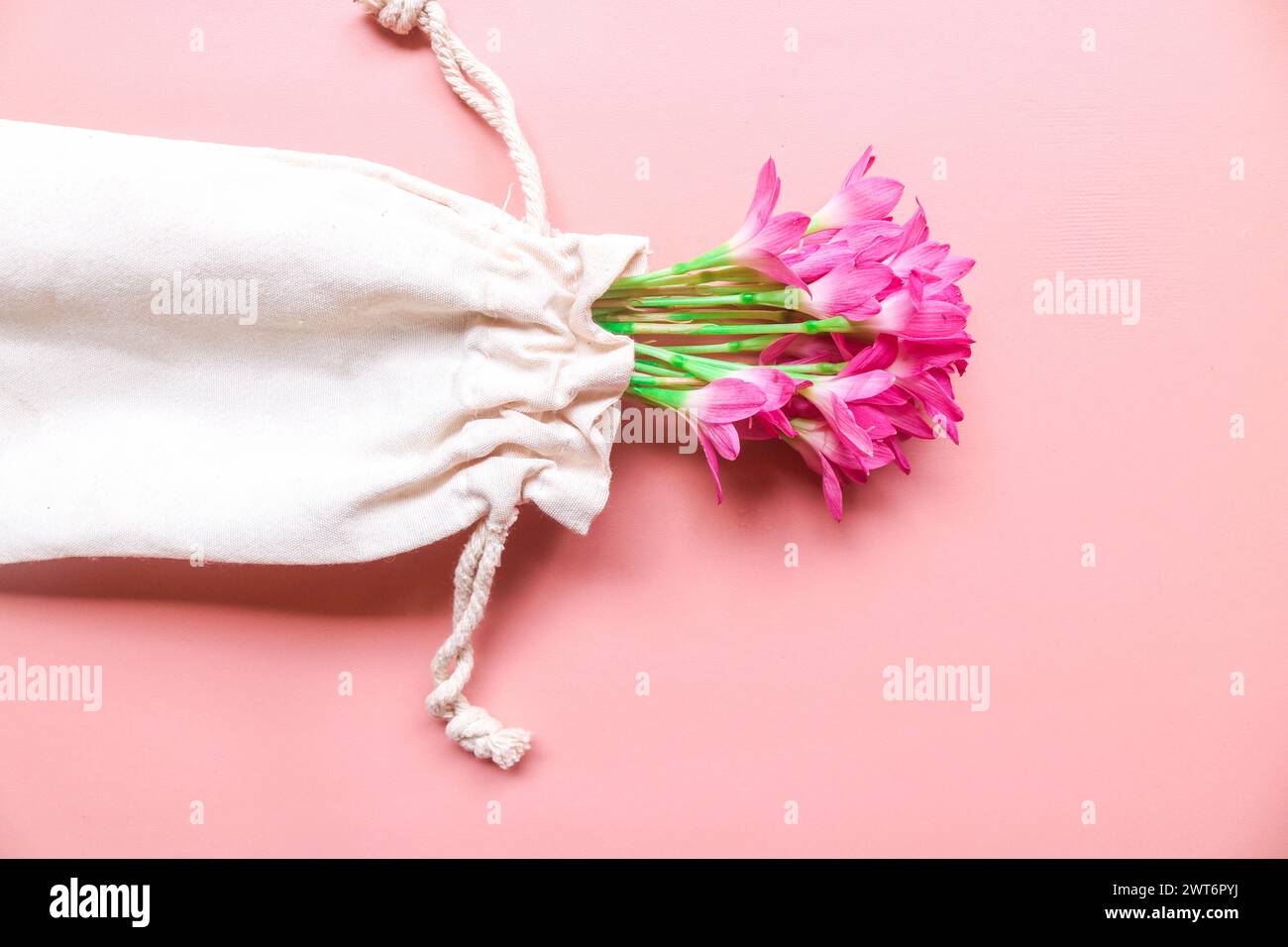 Top view photo of bouquet of pink lilies in a string bag isolated pink background with copyspace. Spring flowers on pink flat lay. Greeting card, holi Stock Photo