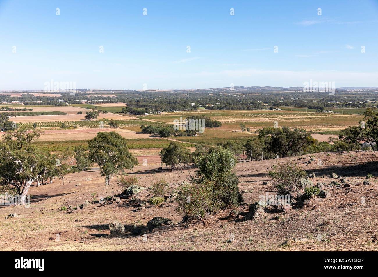Barossa Valley range region South Australia, view across the flat and ...