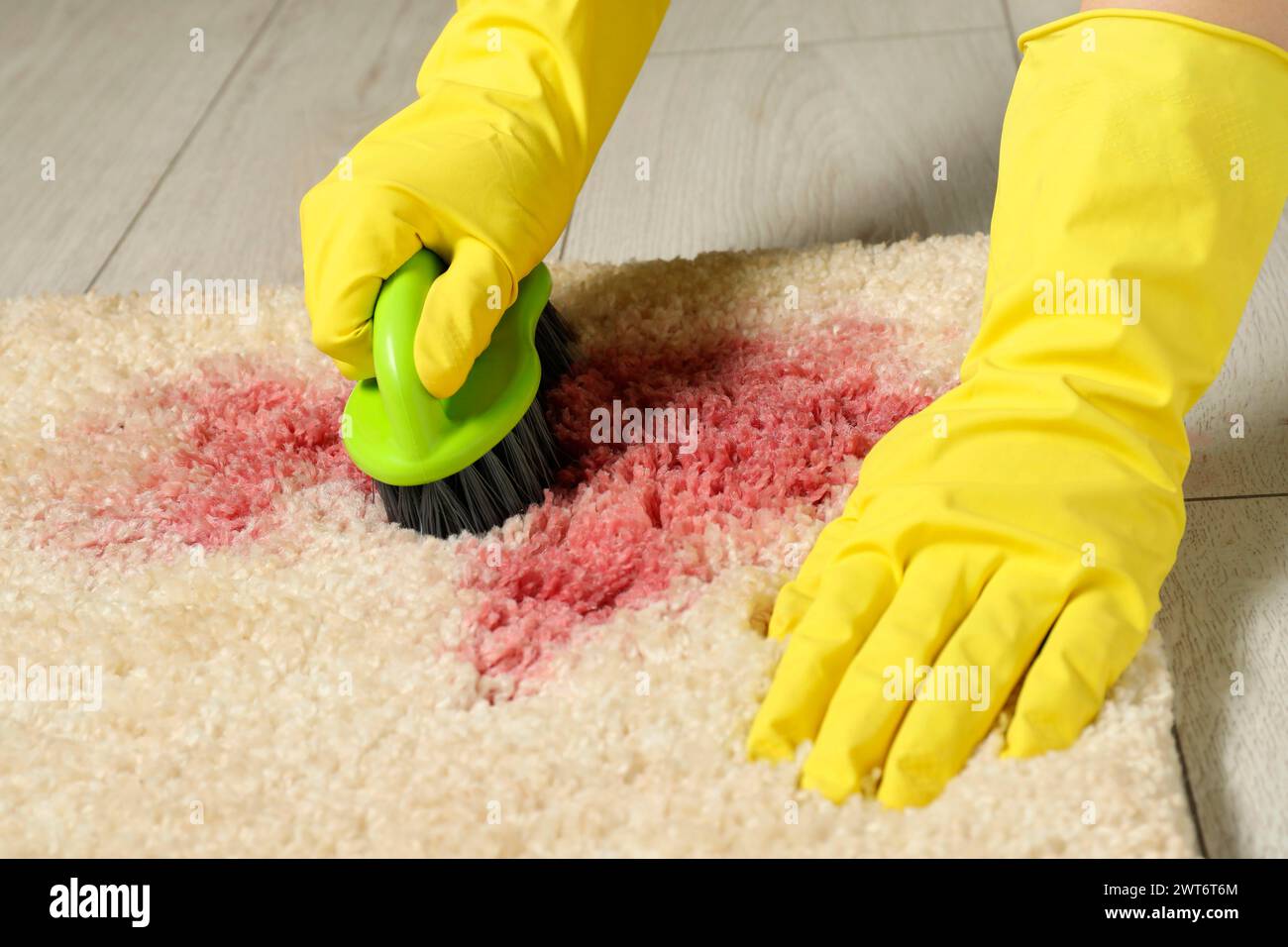 Woman removing stain from beige carpet, closeup Stock Photo Alamy