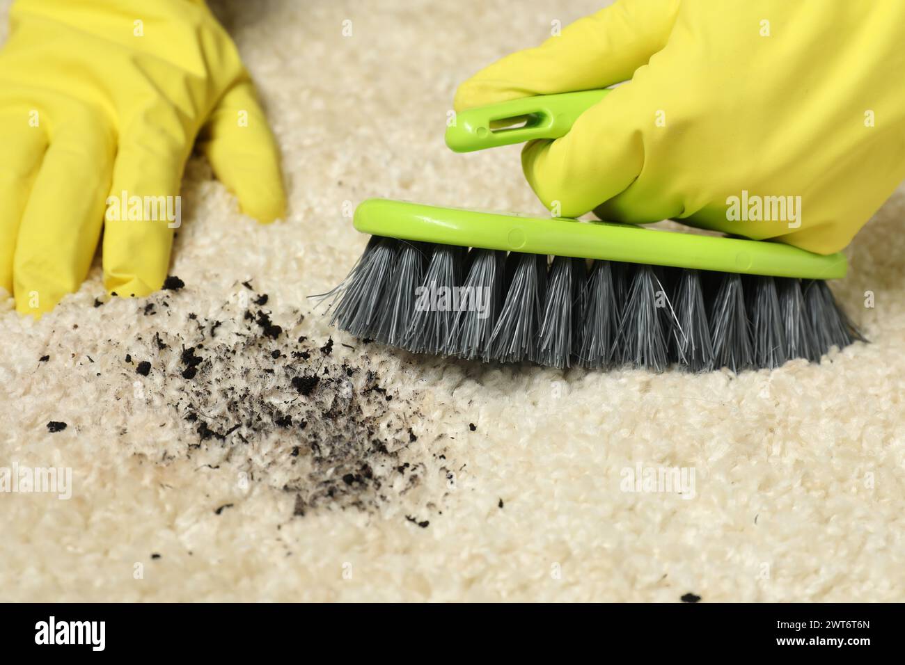 Woman removing stain from beige carpet, closeup Stock Photo Alamy