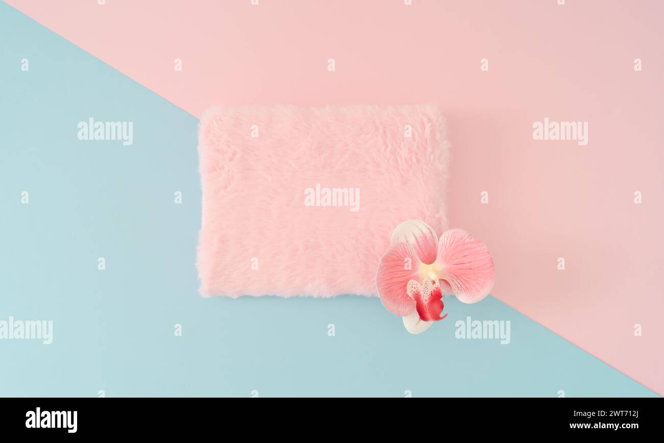 Creative composition made with natural fresh orchid flower and pastel pink faux fur copy space on abstract pastel pink and blue geometric background. Stock Photo