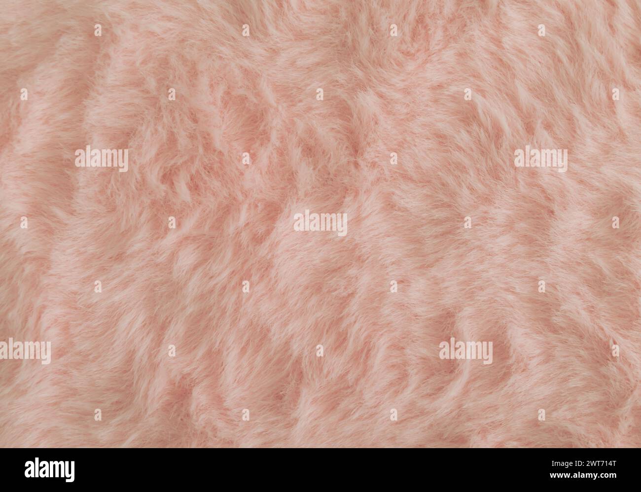 Pinkish orange or peachy pink faux fur background. Close up surface wool texture. Minimal background concept. Trendy color luxury layout. Fluffy fur f Stock Photo