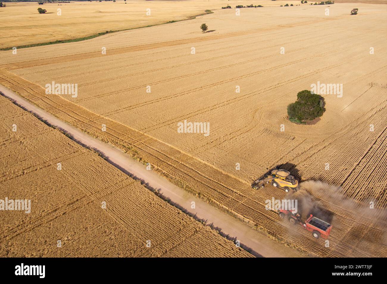 Aerial of combine harvester wheat harvesting near Wallumbilla on the Maranoa Queensland Australia Stock Photo