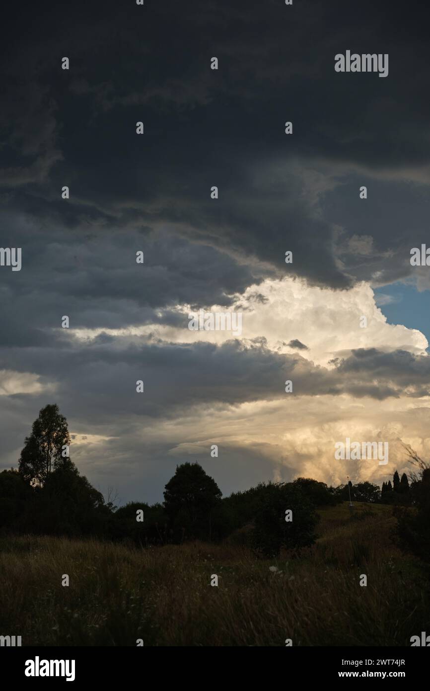 Portrait of tree line silhouette with storm clouds Stock Photo - Alamy